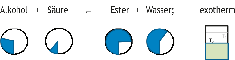 neu eingestelltes gleichgewicht